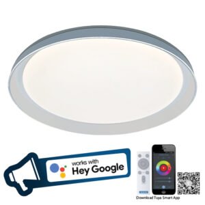 LED SMART CEILING LIGHT