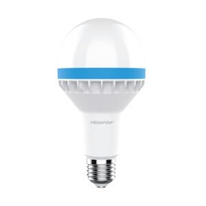 LED EMERGENCY BULB